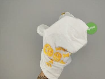 koszulka essa nasa: Roly, Koszulka dla mężczyzn, M — 6