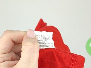 koszulka z gołębiem allegro: T-shirt, 3-4 years, 98-104 cm, condition - Perfect — 4