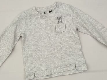 reserved koszulka w koty: Bluza, 5-6 lat, 110-116 cm, stan - Bardzo dobry — 1