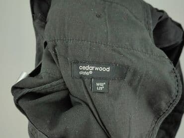 sweter s: Cedar Wood State, Spodnie garniturowe dla mężczyzn, rozmiar 2XL — 5