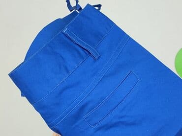 niebieska spódnice plisowane: Spódnica damska, L — 7