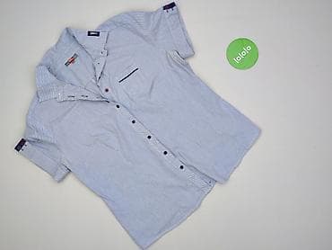 blue: Wibs, Koszula damska, rozmiar 4XL — 2