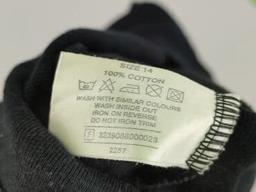 paparazzi ubrania: Papaya, T-shirt damski, rozmiar XL — 5