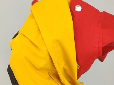 kurtka zimowa femi stories: Romwe, Women`s lightweight jacket, S at lalafo.pl — 6 kurtka zimowa femi stories: Romwe, Women`s lightweight jacket, S — 6