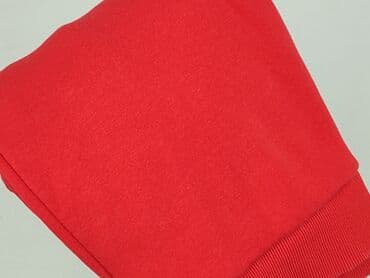 dresy joggery damskie sinsay: DeeZee, Bluza damska
, S — 6