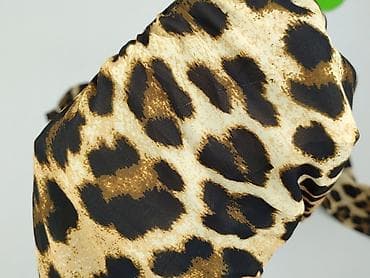 cute żeczy: Sukienka damska, rozmiar S — 6