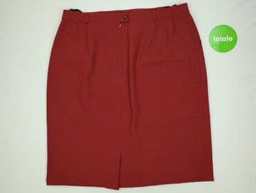 plisowane spódnice szara: Spódnica damska, rozmiar 3XL — 3