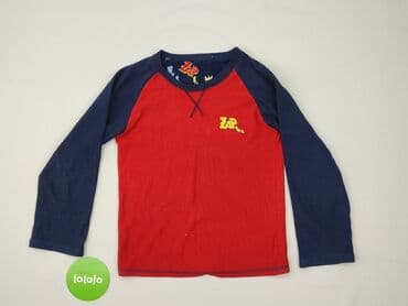 skarpety dexshell: Sweatshirt, St. Bernard, 10 years, 134-140 cm, condition - Very good — 2
