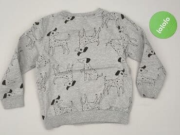 kurtka flek: Bluza, Little kids, 5-6 lat, 110-116 cm, stan - Idealny — 3