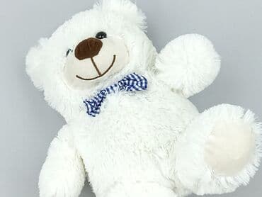 czapka z psem: Mascot Teddy bear, condition - Perfect — 1