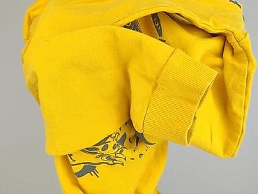 harry potter pepco: Harry Potter, Bluza damska
, rozmiar 2XS — 5