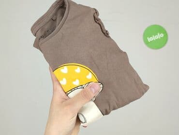 body z kubusiem puchatkiem: Sweatshirt, Sinsay, 5-6 years, 110-116 cm, condition - Perfect — 5