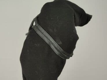 kamizelka futerko h m: H&M, Top damski, rozmiar XS — 4