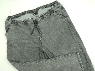 Jeansy: Janina, Jeansy damskie, rozmiar 4XL
