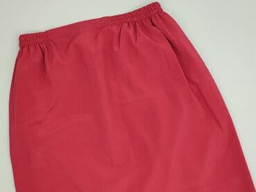 spódnice midi plus size: Spódnica damska, rozmiar XL — 1
