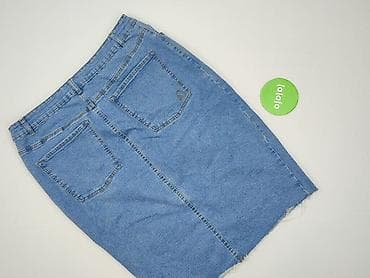 plus size spódnice: Spódnica damska, rozmiar 2XL — 3