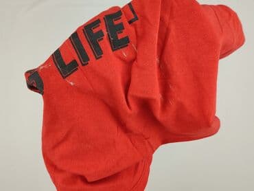 beagle t shirty: FB Sister, Women`s T-shirt, size XL — 6