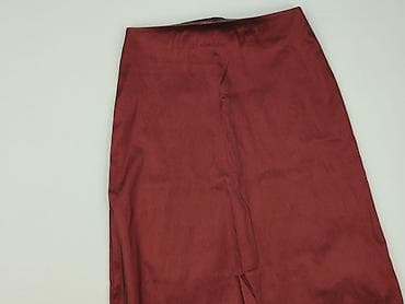 spódnice plus size midi: Lana, Spódnica damska, rozmiar L — 1