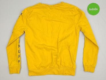 harry potter pepco: Harry Potter, Bluza damska
, rozmiar 2XS — 3