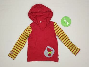 kurtka napapijri: Sweatshirt, 4-5 years, 104-110 cm, condition - Perfect — 2