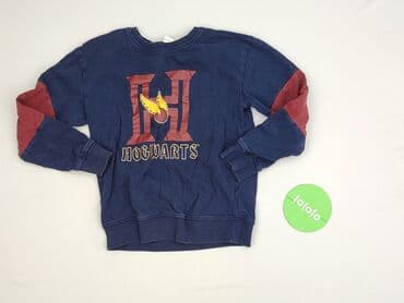 koszulka z psem: Sweatshirt, Harry Potter, 9 years, 128-134 cm, condition - Very good — 2