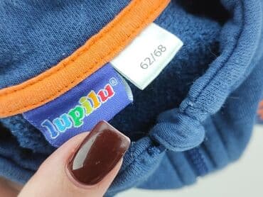 lidl ubrania dla dzieci lupilu: Sweatshirt, Lupilu, 3-6 months, condition - Good — 4