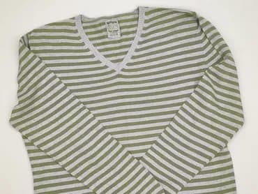 Springfield, Sweter for men, L