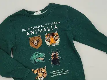 Sweatshirt, H&M, 8 years, 122-128 cm, condition - Perfect