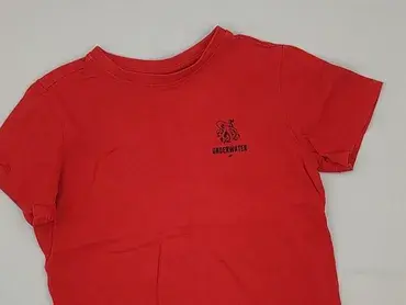 T-shirt, 4F Kids, 7 years, 116-122 cm, condition - Very good