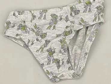 Panties, condition - Very good