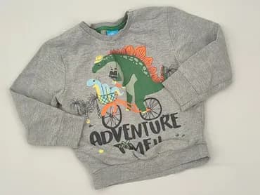 Sweatshirt, Lupilu, 3-4 years, 98-104 cm, condition - Very good