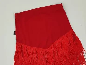 Women`s skirt, 2XS