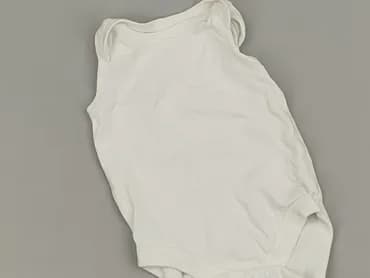 Body, St. Bernard, 1-3 m, 
stan - Bardzo dobry