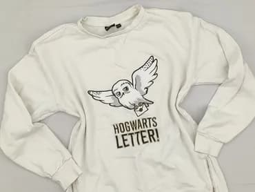 Sweatshirt, Harry Potter, 12 years, 146-152 cm, condition - Very good