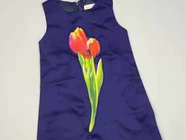 Sukienka, 3-4 lat, 98-104 cm, stan - Bardzo dobry