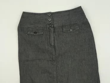 Dressbarn, Women`s skirt, size XL