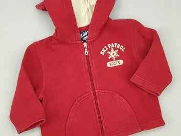 Sweatshirt, 3-6 months, condition - Good