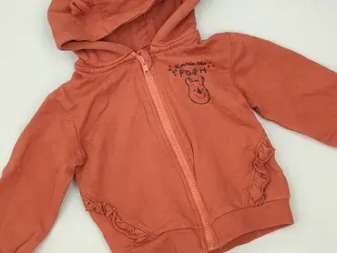 Sweatshirt, Fox&Bunny, 12-18 months, condition - Perfect