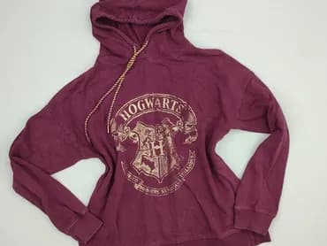 Harry Potter, Кофта з каптуром жіноча, S