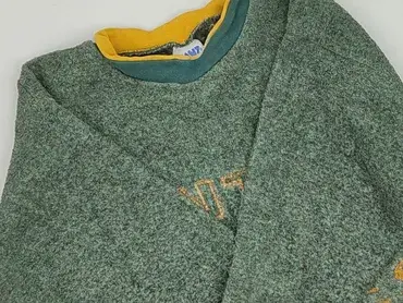 Sweatshirt, 2-3 years, 92-98 cm, condition - Very good