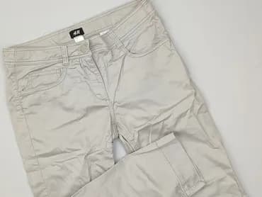 H&M, Брюки жіночі, розмір L