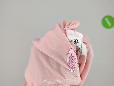 dresy terranova: T-shirt damski, rozmiar XL w lalafo.pl — 7 dresy terranova: T-shirt damski, rozmiar XL — 7