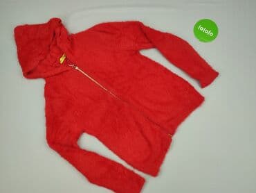 wassyl spodnie dresowe: Women`s hoodie, S at lalafo.pl — 2 wassyl spodnie dresowe: Women`s hoodie, S — 2