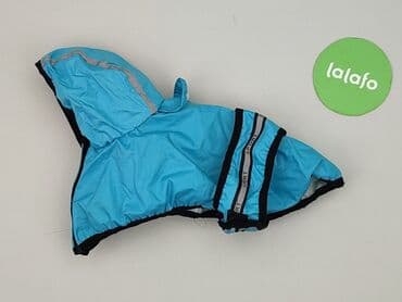 bluza mis lidl: Kurtka przeciwdeszczowa dla psa z kapturem – niebieska „SPORT” - w lalafo.pl — 3 bluza mis lidl: Kurtka przeciwdeszczowa dla psa z kapturem – niebieska „SPORT” - — 3