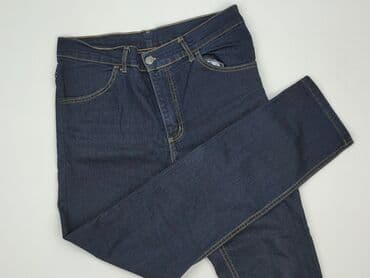 Denim, Jeansy dla mężczyzn, rozmiar S w lalafo.pl Denim, Jeansy dla mężczyzn, rozmiar S