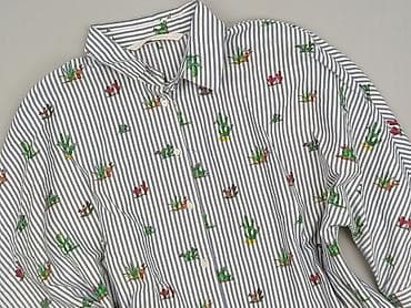 panczo.com koszulki: Zara, Koszula damska, rozmiar M w lalafo.pl — 1 panczo.com koszulki: Zara, Koszula damska, rozmiar M — 1