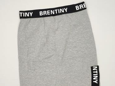 spódnice z kontrafałdą: Women`s skirt, S at lalafo.pl — 1 spódnice z kontrafałdą: Women`s skirt, S — 1